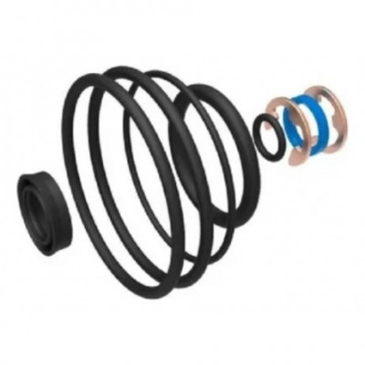 Juego Retenes Y Orings Repuesto Blikit De Valvula Desc Fv