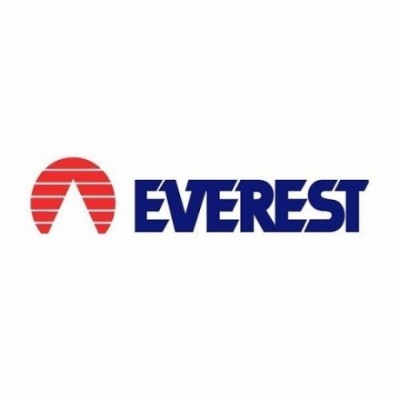 Estufa Caloventor Everest Fx-990 Reforzado 3 Potencia Blanco